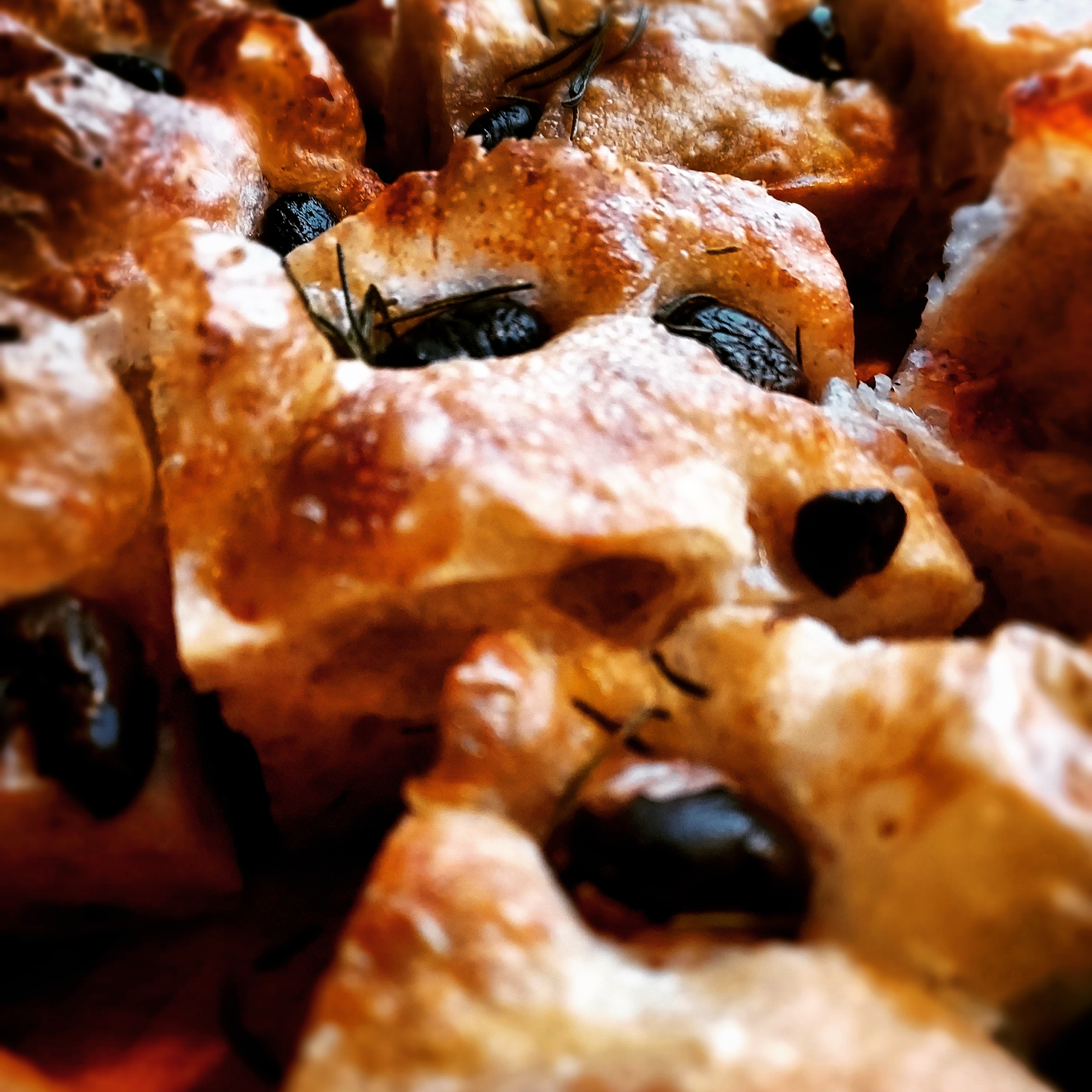 Black Olive Sourdough Focaccia by PRuK
